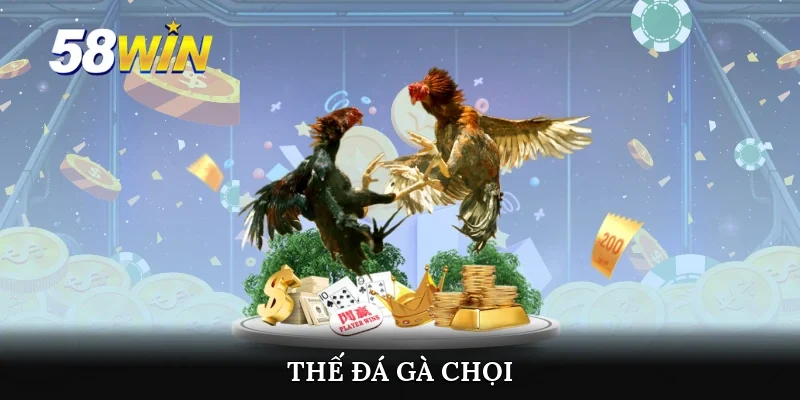 Thế đá gà chọi